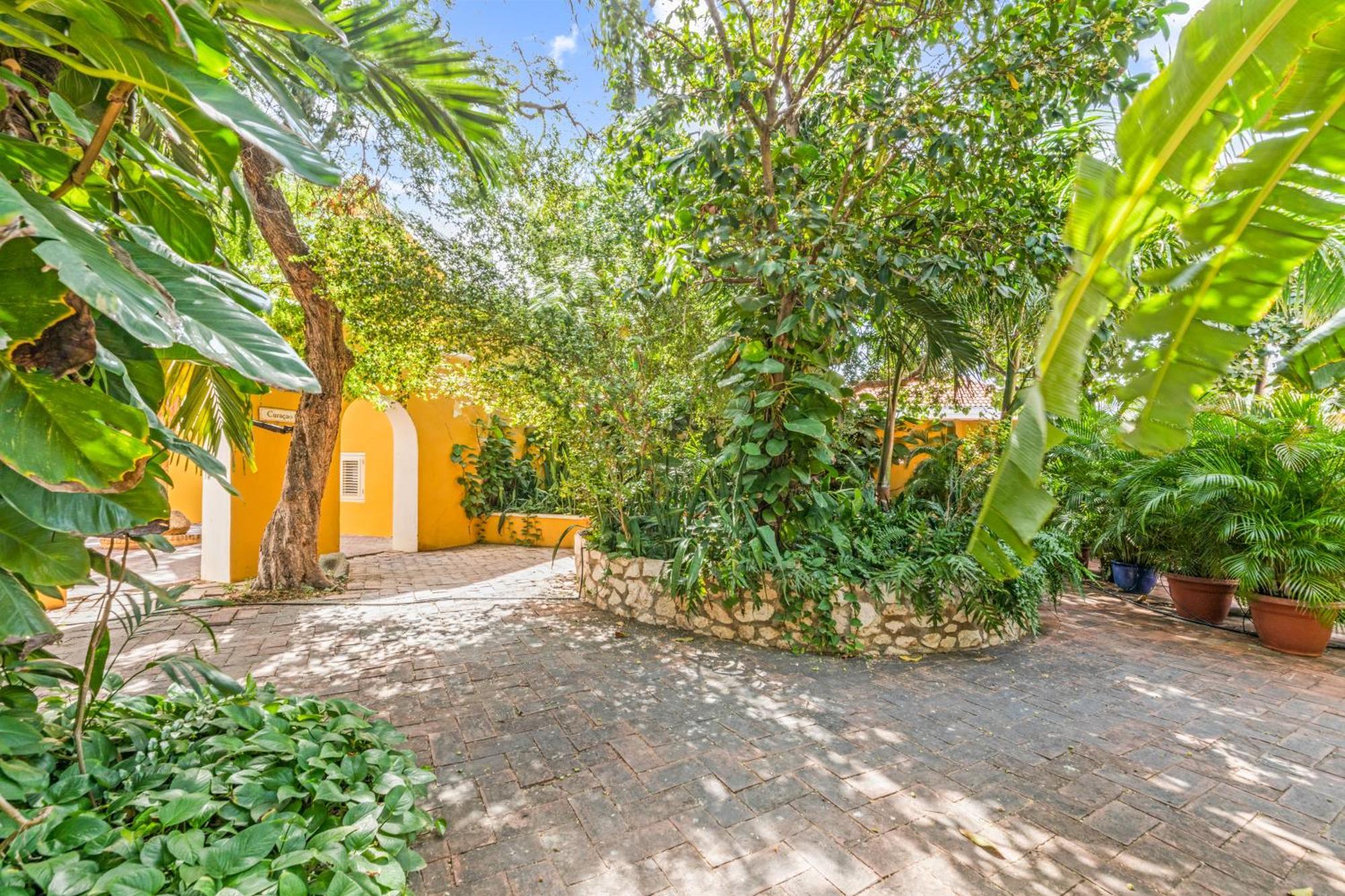 Curacao Gardens Daire Willemstad Dış mekan fotoğraf